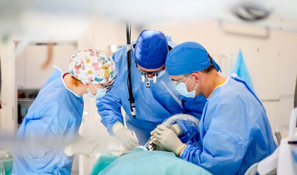 IMPLANTACJA NATYCHMIASTOWA – SZKOLENIE DR N. MED. TOMASZ JANKOWSKI